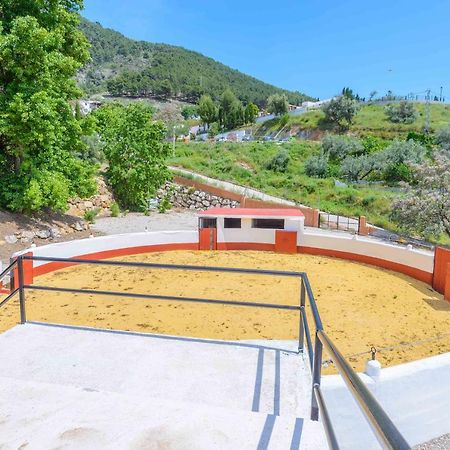 Casa Flores Con Piscina Interior Climatizada Alcaucín Εξωτερικό φωτογραφία
