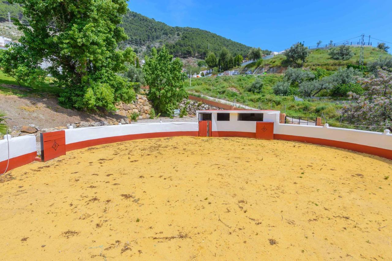 Casa Flores Con Piscina Interior Climatizada Alcaucín Εξωτερικό φωτογραφία