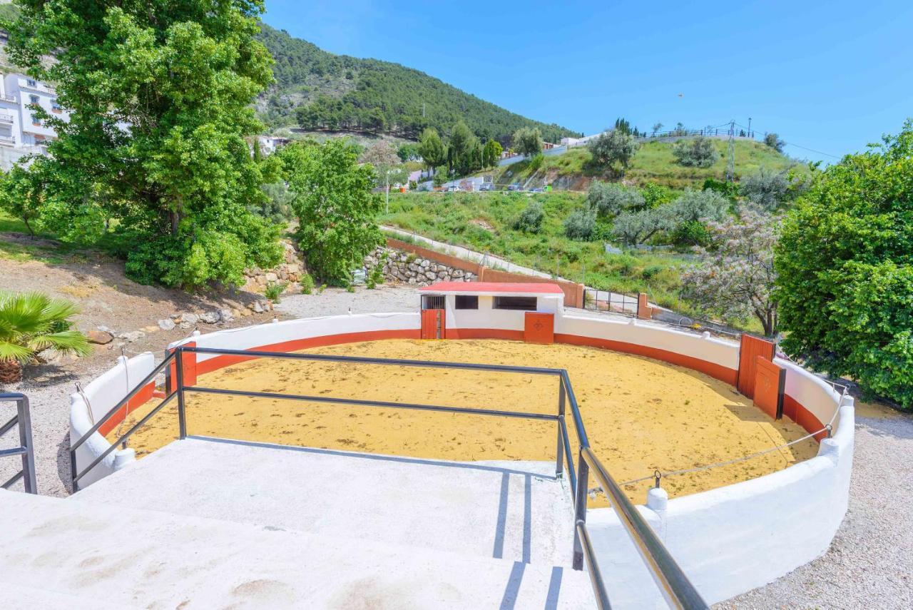 Casa Flores Con Piscina Interior Climatizada Alcaucín Εξωτερικό φωτογραφία